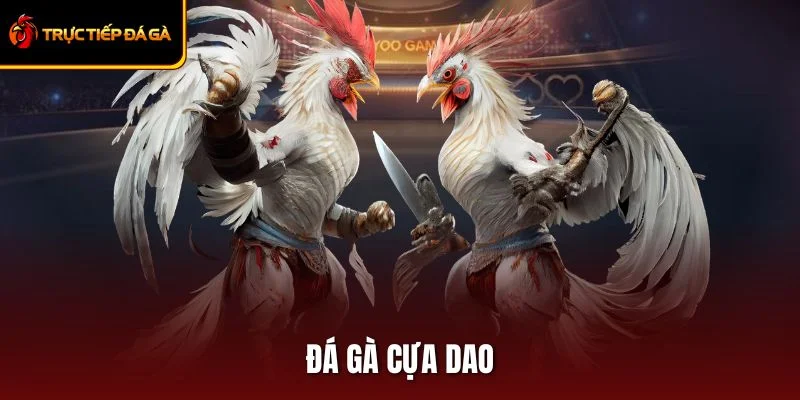 Sức Hút Của Đá Gà Cựa Dao Cùng Bí Quyết Thắng Cược