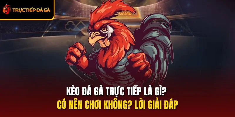 Kèo Đá Gà Trực Tiếp Là Gì? Có Nên Chơi Không? Lời Giải Đáp