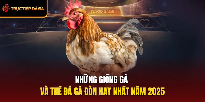 Những Giống Gà Và Thế Đá Gà Đòn Hay Nhất Năm 2025