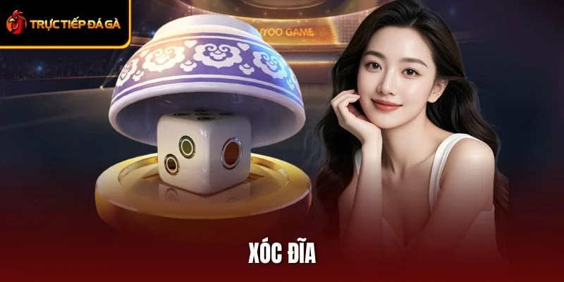 Xóc Đĩa - Bí Quyết Đặt Cược Chuẩn, Thắng Lớn Liên Tục